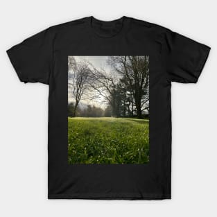 Spring morning in goathland T-Shirt